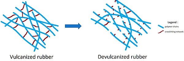 Schéma de la dévulcanisation où la rupture des ponts de vulcanisation entre les chaînes du polymère sont visibles